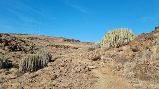 2024-02-GranCan-Playa Del Aguila-Trek-06.jpg